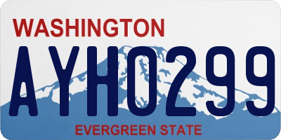 WA license plate AYH0299