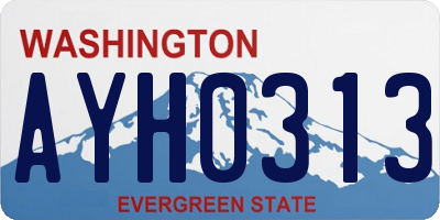 WA license plate AYH0313