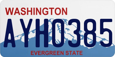 WA license plate AYH0385