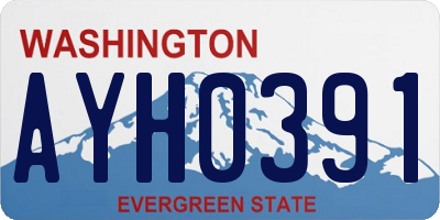 WA license plate AYH0391