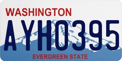 WA license plate AYH0395