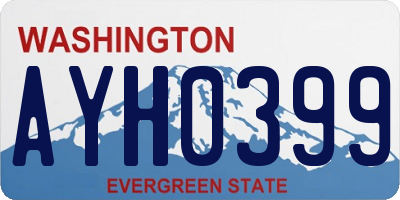 WA license plate AYH0399