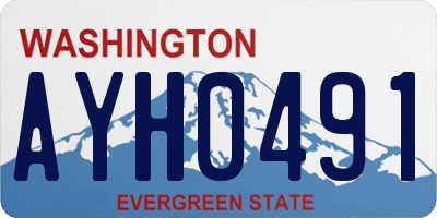 WA license plate AYH0491