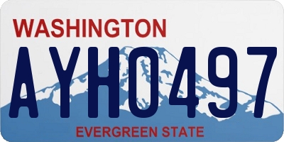 WA license plate AYH0497