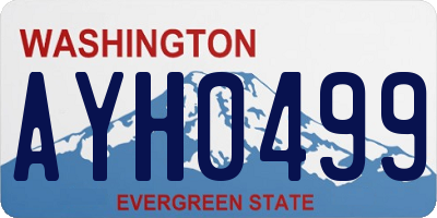 WA license plate AYH0499