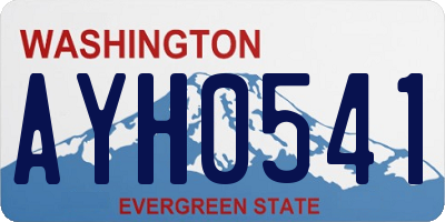 WA license plate AYH0541