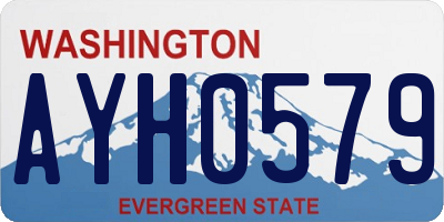 WA license plate AYH0579