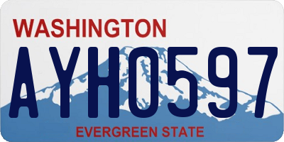 WA license plate AYH0597