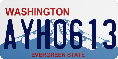 WA license plate AYH0613