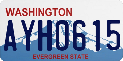 WA license plate AYH0615