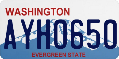 WA license plate AYH0650