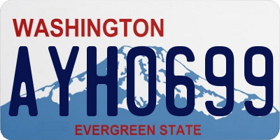 WA license plate AYH0699