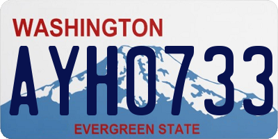 WA license plate AYH0733
