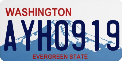 WA license plate AYH0919