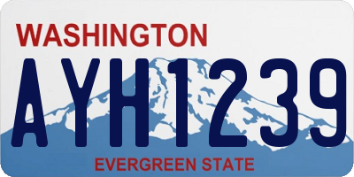 WA license plate AYH1239