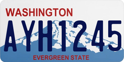 WA license plate AYH1245