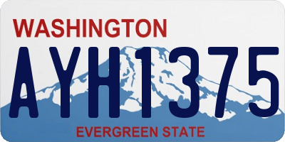 WA license plate AYH1375
