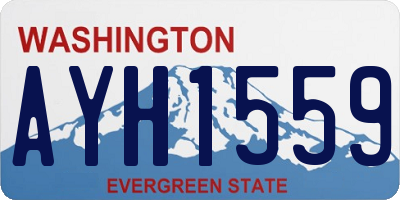 WA license plate AYH1559