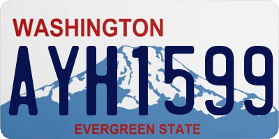 WA license plate AYH1599