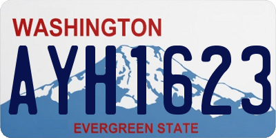 WA license plate AYH1623