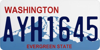 WA license plate AYH1645