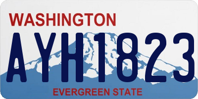 WA license plate AYH1823