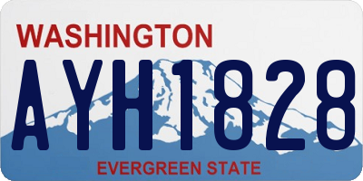 WA license plate AYH1828