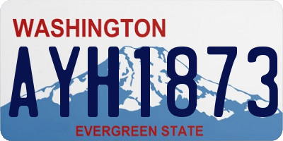 WA license plate AYH1873