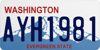 WA license plate AYH1981