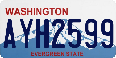 WA license plate AYH2599