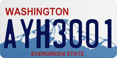 WA license plate AYH3001