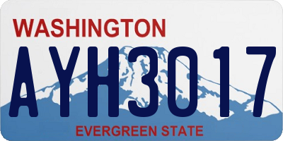 WA license plate AYH3017