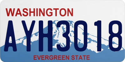 WA license plate AYH3018
