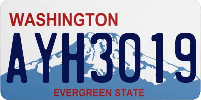 WA license plate AYH3019