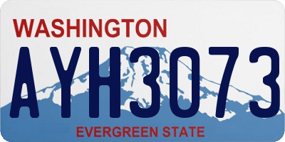 WA license plate AYH3073