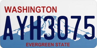WA license plate AYH3075