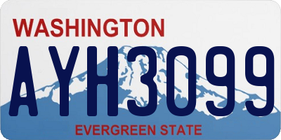 WA license plate AYH3099