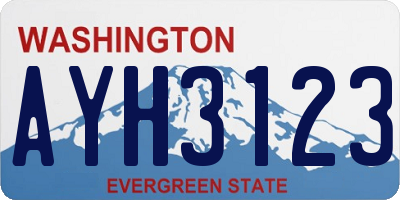 WA license plate AYH3123