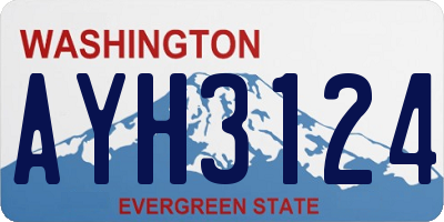 WA license plate AYH3124