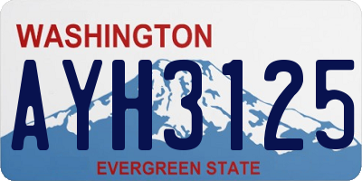 WA license plate AYH3125