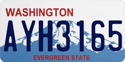 WA license plate AYH3165