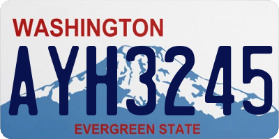 WA license plate AYH3245
