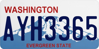 WA license plate AYH3365