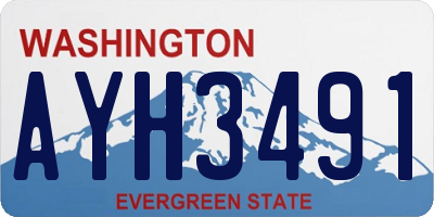 WA license plate AYH3491