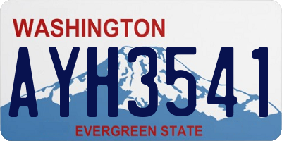 WA license plate AYH3541