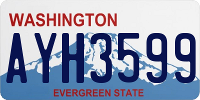 WA license plate AYH3599