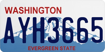WA license plate AYH3665