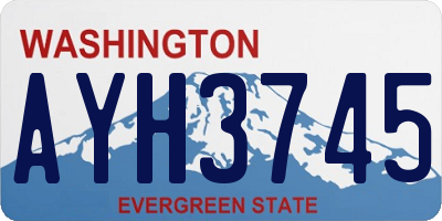 WA license plate AYH3745