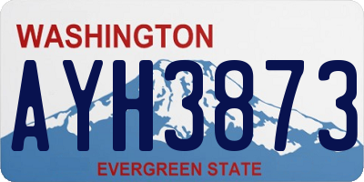 WA license plate AYH3873