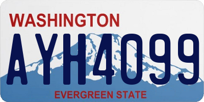 WA license plate AYH4099